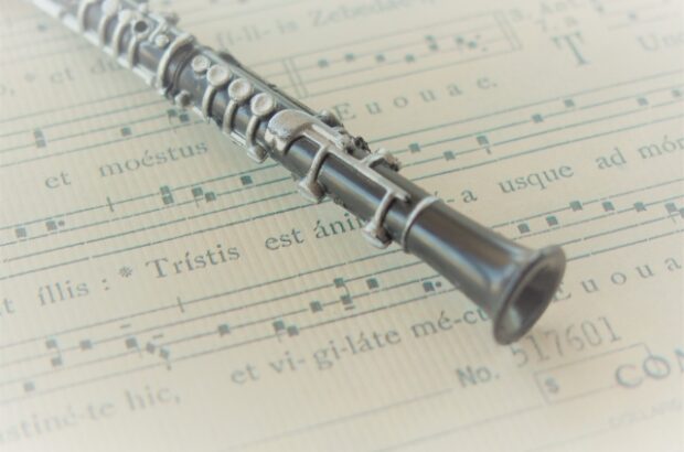 願いが叶う保健室を無料rawhitomi読みできるか音楽家がクラリネット演奏確認