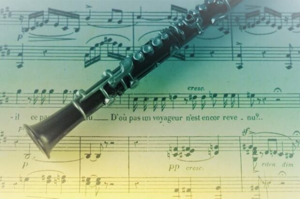 かいらくのかご ‐執愛の指先に、理性の殻が蕩け堕ちる‐を無料で音楽家がクラリネット演奏確認